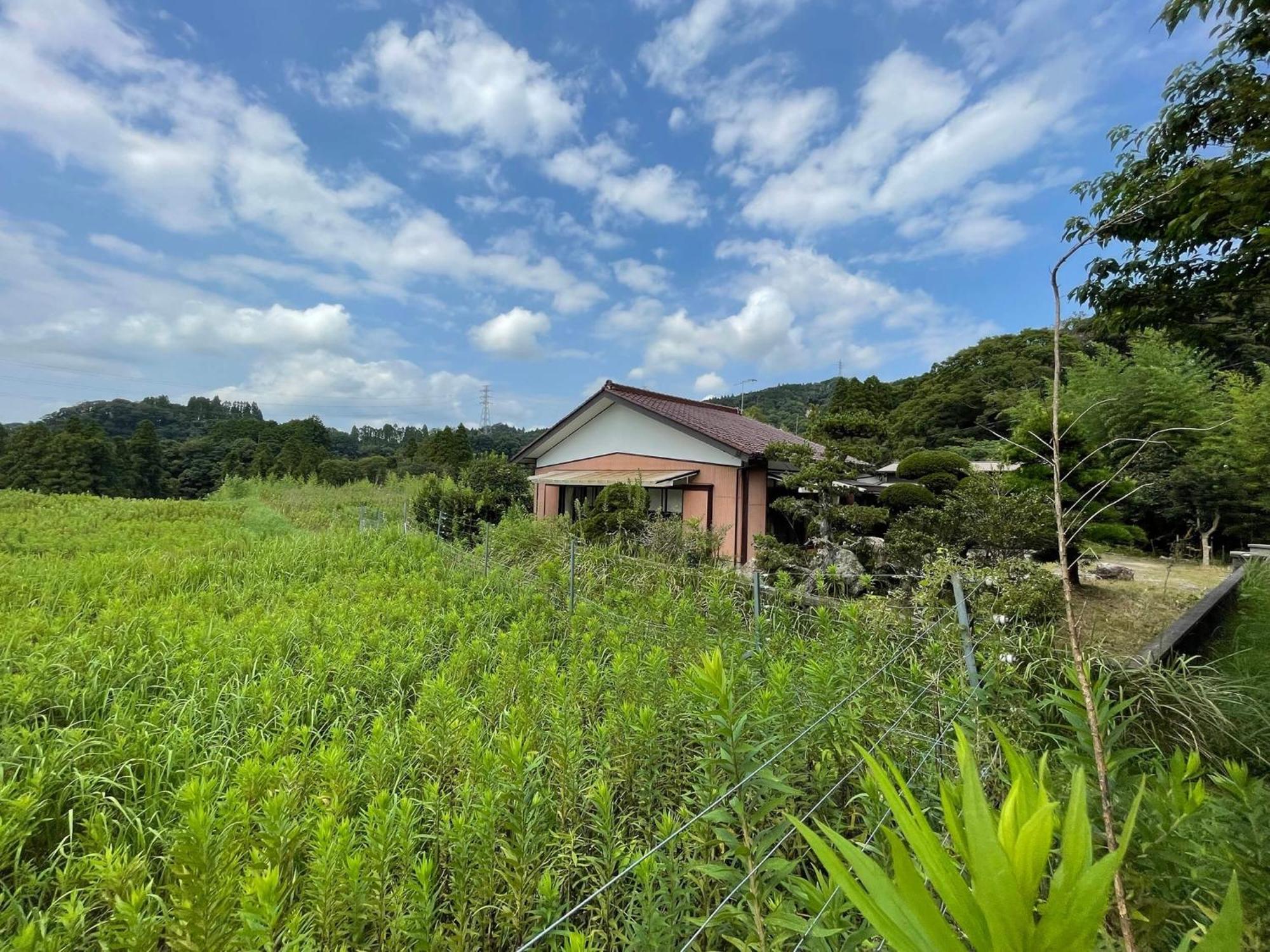 Rental Villa, Otomi'S House - Vacation Stay 11993 君津市 エクステリア 写真